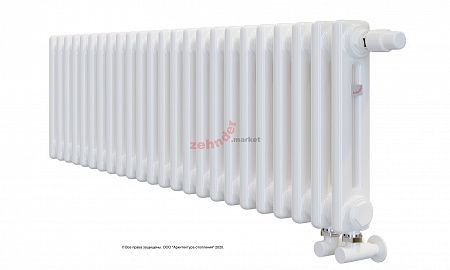 Радиатор Zehnder Charleston Completto CH 2030/24 V001 ½ RAL 9016